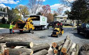 Lawn Grading and Leveling in Smithville, TN